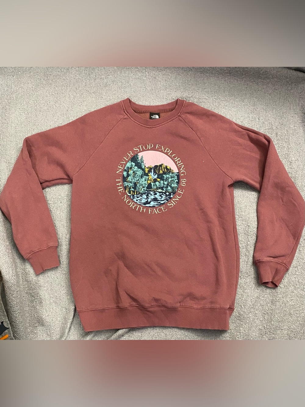 The North Face Crewneck Sweatshirt - Rosewood Mauve